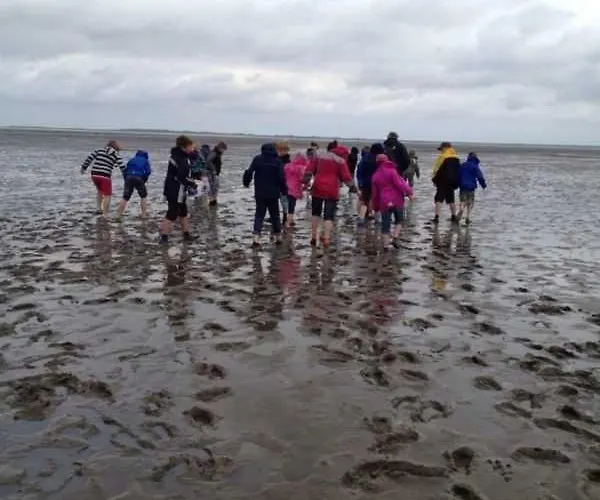 Semesterbostad In 20-115 *